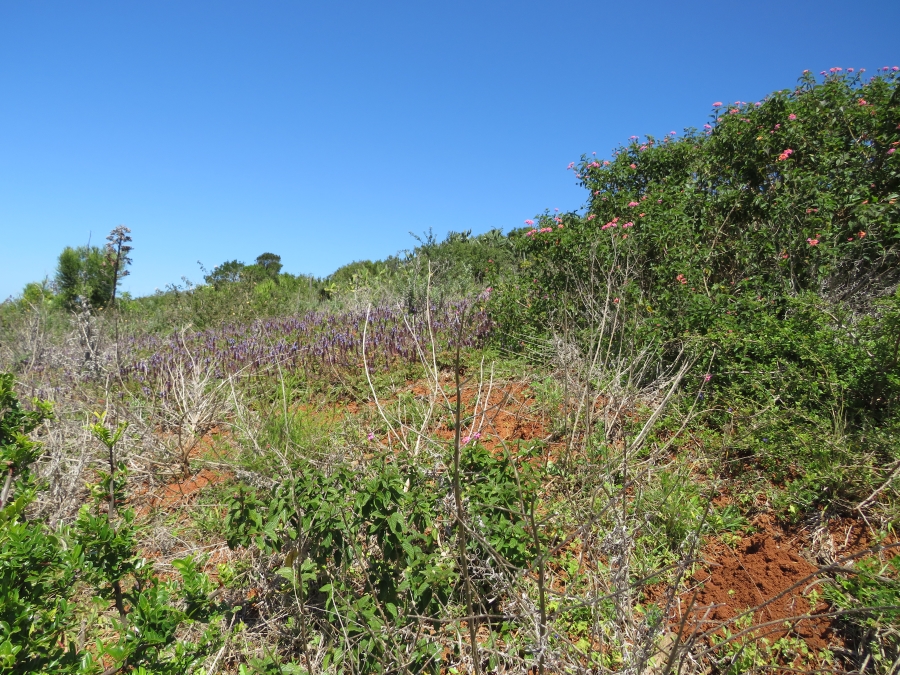 0 Bedroom Property for Sale in Riverview Water Front Estate Eastern Cape